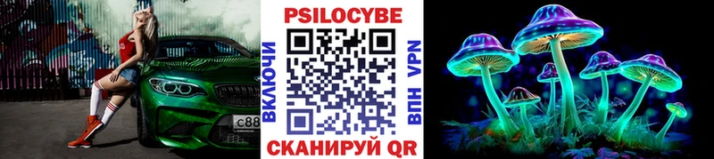 Галлюциногенные грибы Cubensis  где продают   Цимлянск 